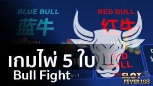 slot-fever-bull-fight เกมไพ่ 5 ใบ
